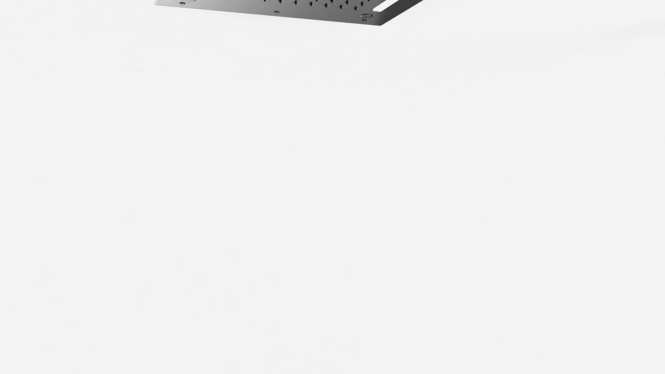 Ceiling showerhead