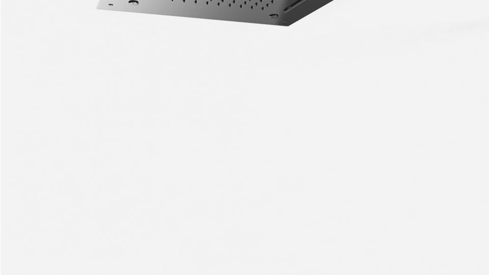 Ceiling showerhead