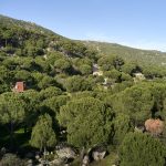 Turchia 1